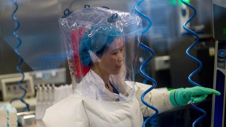 Viróloga china advirtió de un virus ligado a murciélagos hace 1 año