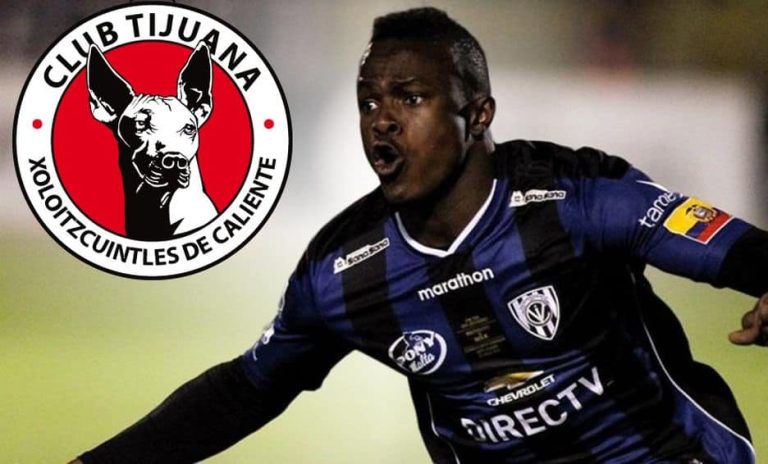 “Dependerá del nuevo DT de Xolos si prestan a José Angulo”