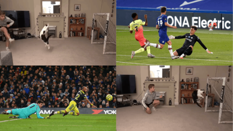 (VIDEO) VIRAL: “Este gato es mejor que Kepa”