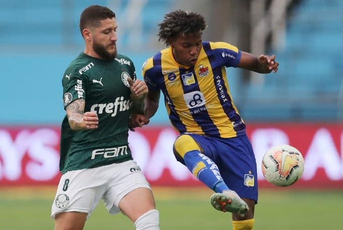 (VIDEO) SE COMPLICÓ: Delfín SC cayó de local ante Palmeiras