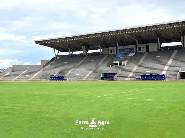 (FOTOS) Guayaquil City presume su cancha recuperada
