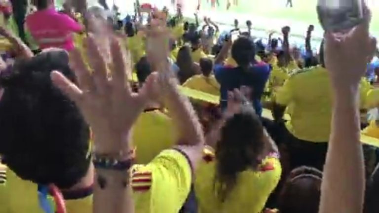 (VIDEO) Hinchas de Colombia celebraron el penal anulado a Ecuador por el VAR