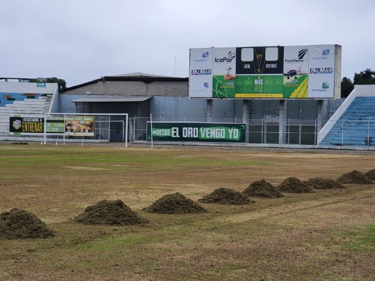 Empezaron los trabajos para adecuar el gramado del Estadio 9 de Mayo