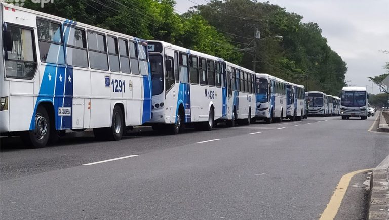 #NTF Más de 1300 buses urbanos volverían a dar el servicio en Guayaquil