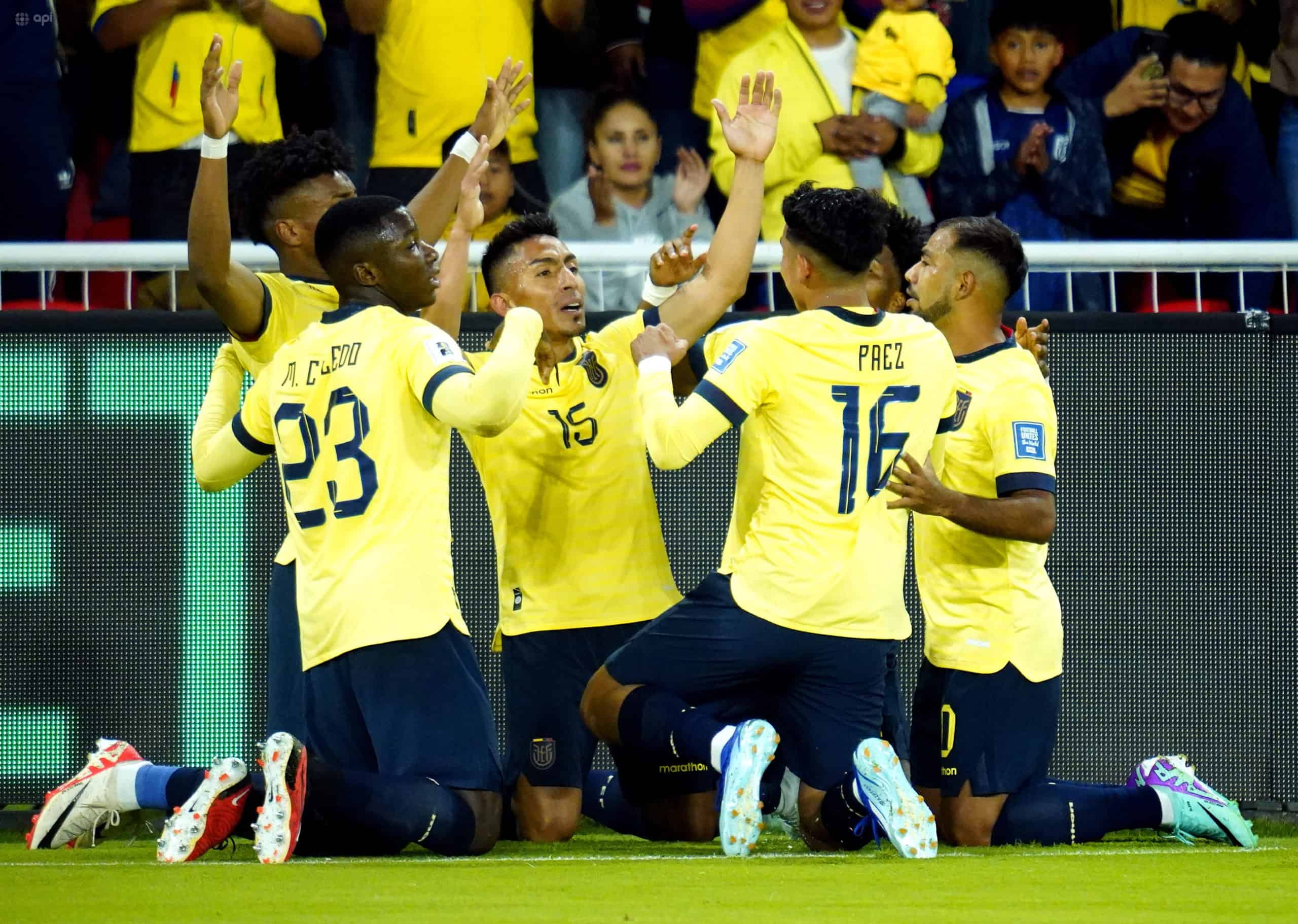 Partidos Ecuador Copa America 2024 Nanny Violante