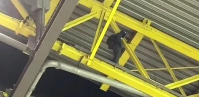 Ya se sabe quién es el joven que se colgó del techo del Signal Iduna Park
