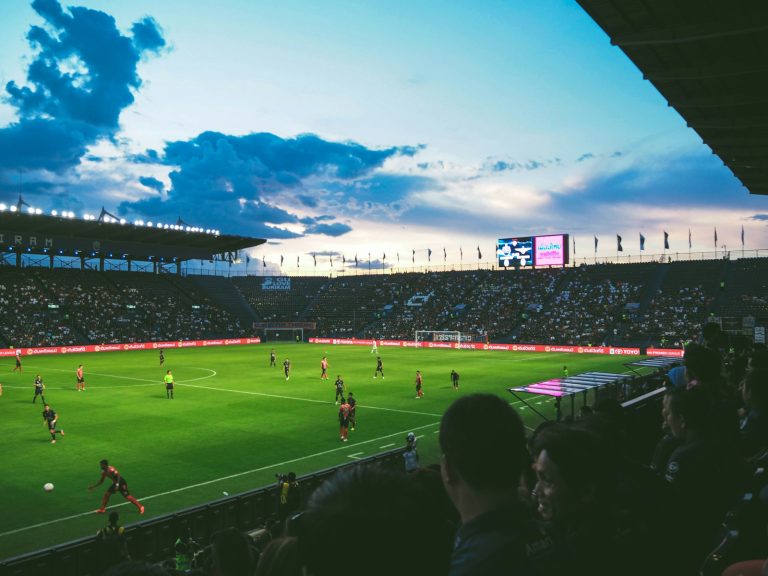 Árboles por goles en la Eurocopa: iniciativa alemana ‘Football for Forests’