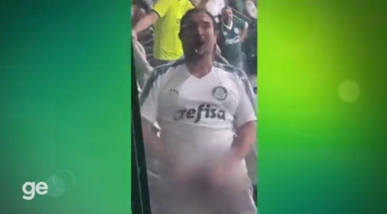 (VIDEO) Lamentable: Un hincha de Palmeiras mostró sus genitales a una aficionada de Botafogo