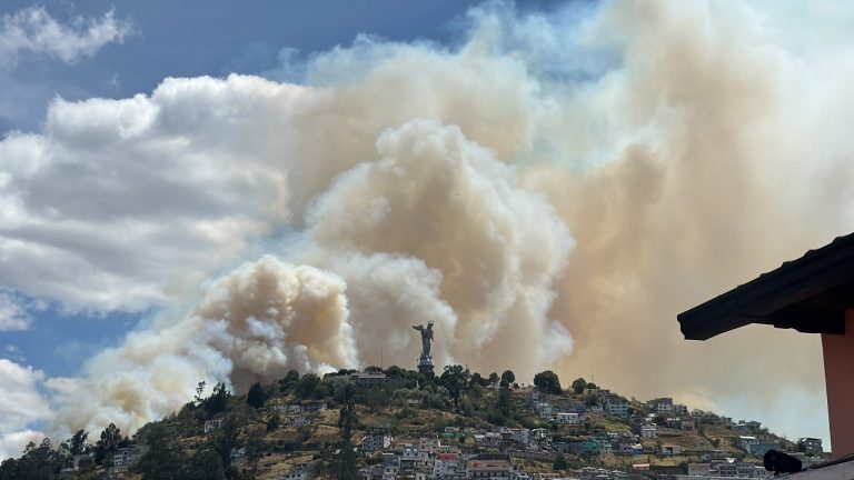 #NTF (VIDEOS-FOTOS) Incendio forestal en el sector de El Panecillo, en Quito