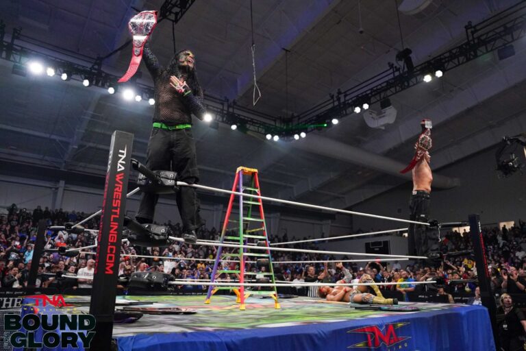 The Hardys se coronan campeones en pareja de TNA