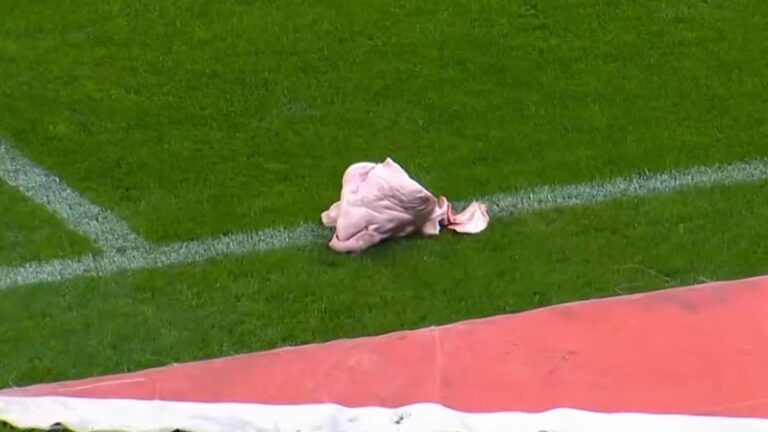 (VIDEO) INSÓLITO: Hinchas del Corinthians lanzan una cabeza de cerdo en pleno partido