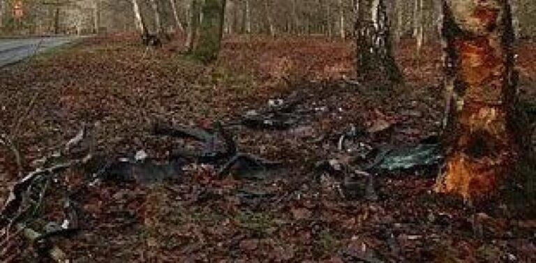 Ni drogas ni alcohol: las extrañas circunstancias del accidente de Michail Antonio