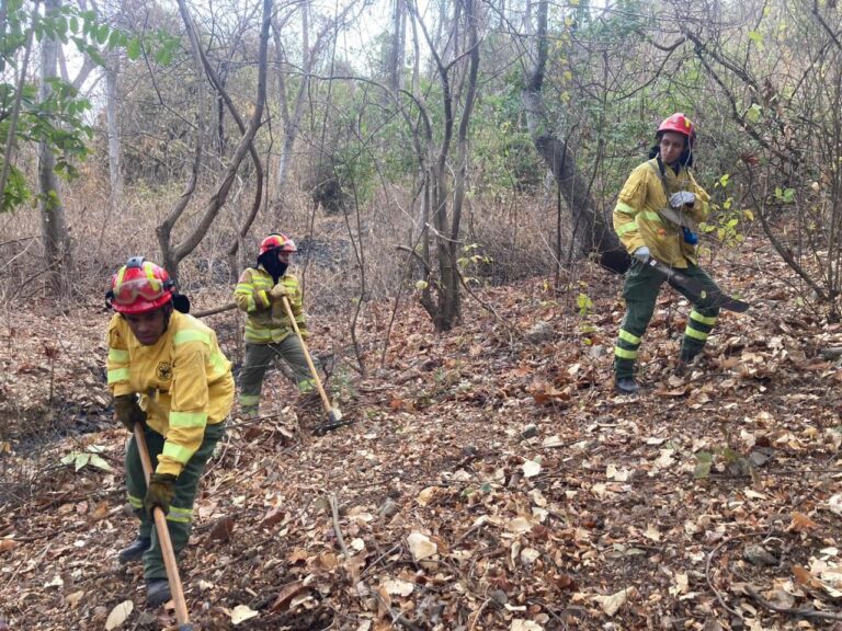 Bomberos de Guayaquil liquidan incendio en cerro Azul