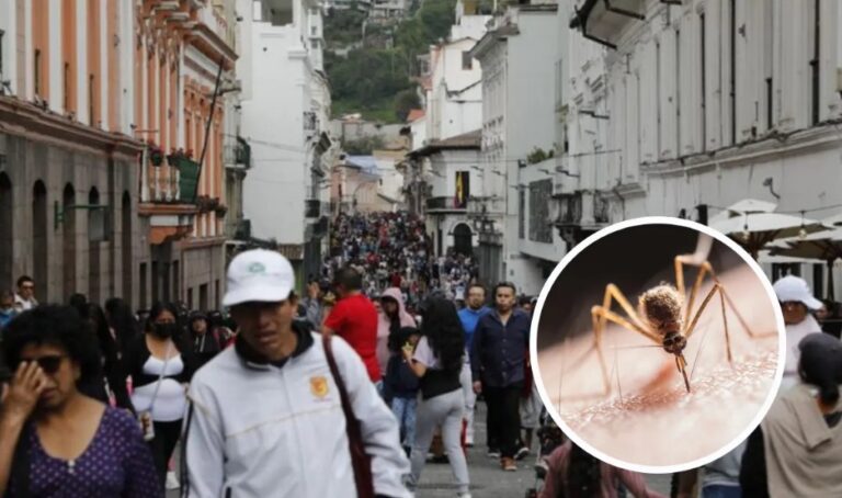 Ministerio de Salud confirma el primer caso de fiebre amarilla en Ecuador