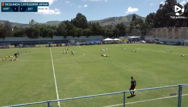 Ataque de avispas interrumpió partido de Segunda Categoría
