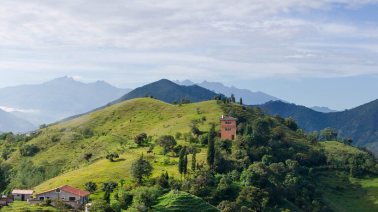Ecuador alberga más especies de flora y fauna que continentes enteros