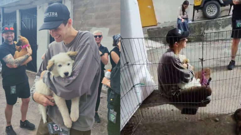 Integrante del equipo de Shakira adoptó un perrito en el Atahualpa y lo nombró “Quito”