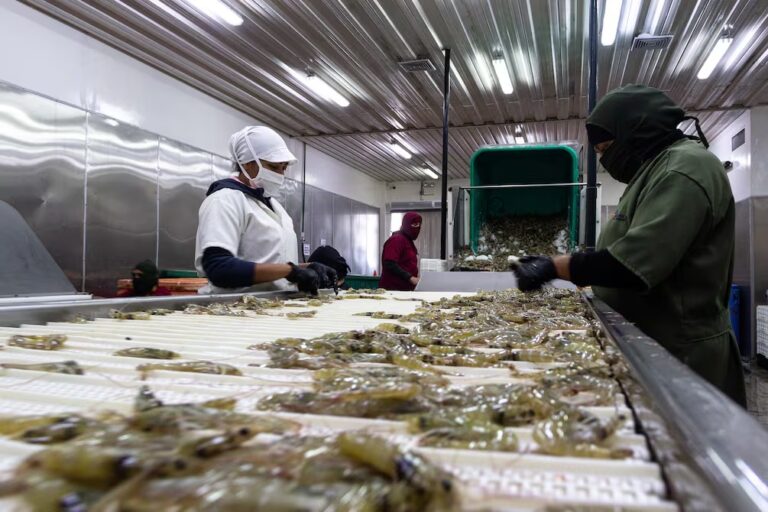 Efecto en Ecuador por decisión de Estados Unidos de bajar aranceles a la India