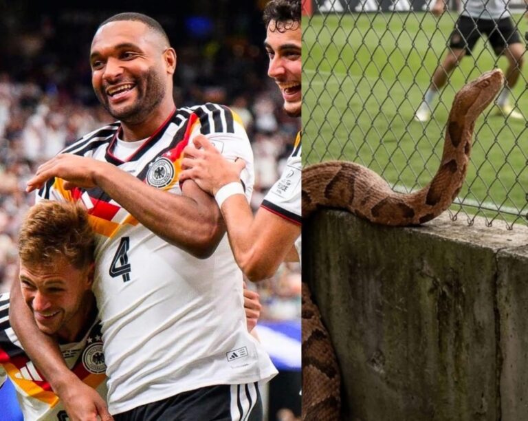 ¡Alerta en el campamento de Alemania! Kimmich revela el susto con una serpiente venenosa