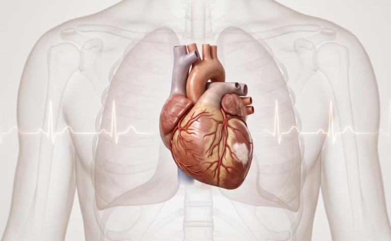 ¿Es posible sufrir un infarto y no darse cuenta? Los síntomas silenciosos que pueden alertar de un problema cardíaco
